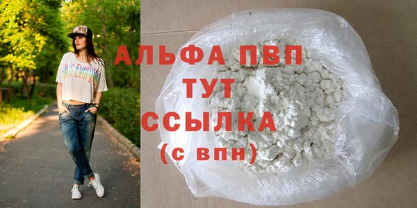 трава Няндома