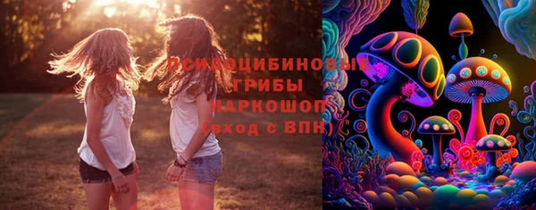 mix Новозыбков